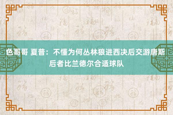 色哥哥 夏普：不懂为何丛林狼进西决后交游唐斯 后者比兰德尔合适球队