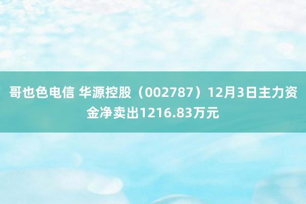 哥也色电信 华源控股（002787）12月3日主力资金净卖出1216.83万元