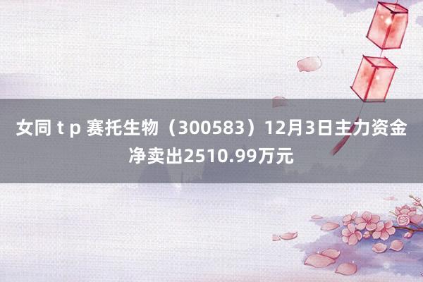 女同 t p 赛托生物（300583）12月3日主力资金净卖出2510.99万元