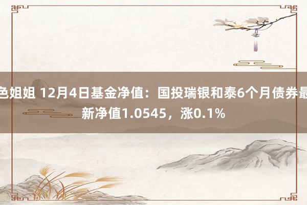 色姐姐 12月4日基金净值：国投瑞银和泰6个月债券最新净值1.0545，涨0.1%