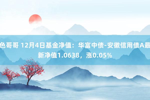 色哥哥 12月4日基金净值：华富中债-安徽信用债A最新净值1.0638，涨0.05%