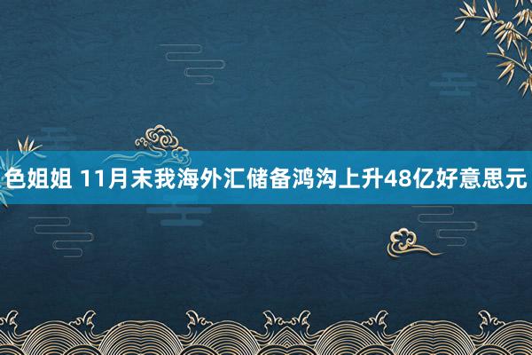 色姐姐 11月末我海外汇储备鸿沟上升48亿好意思元