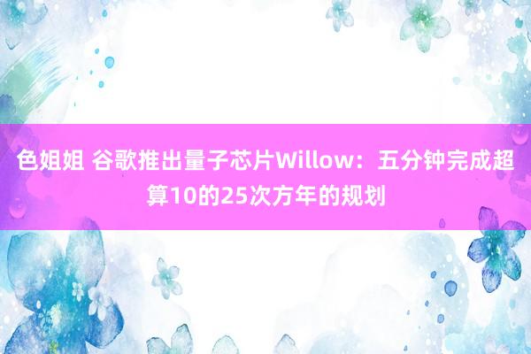 色姐姐 谷歌推出量子芯片Willow：五分钟完成超算10的25次方年的规划