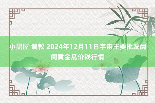 小黑屋 调教 2024年12月11日宇宙主要批发阛阓黄金瓜价钱行情