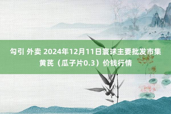 勾引 外卖 2024年12月11日寰球主要批发市集黄芪（瓜子片0.3）价钱行情