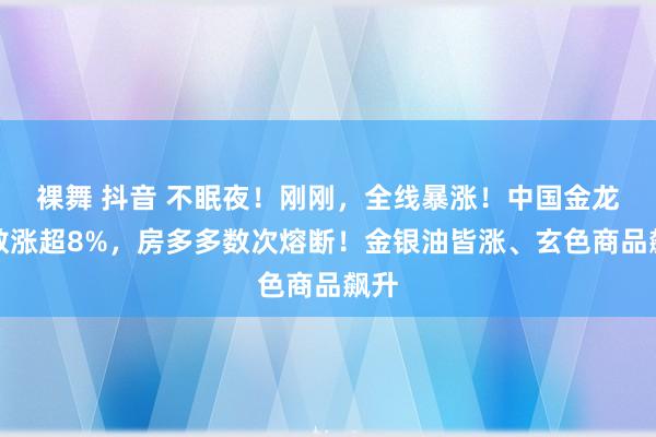 裸舞 抖音 不眠夜！刚刚，全线暴涨！中国金龙指数涨超8%，房多多数次熔断！金银油皆涨、玄色商品飙升