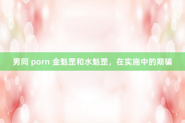 男同 porn 金魁罡和水魁罡，在实施中的期骗