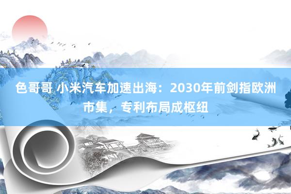 色哥哥 小米汽车加速出海：2030年前剑指欧洲市集，专利布局成枢纽