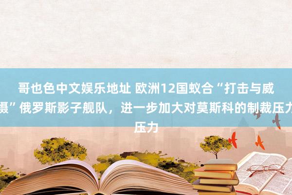 哥也色中文娱乐地址 欧洲12国蚁合“打击与威慑”俄罗斯影子舰队，进一步加大对莫斯科的制裁压力