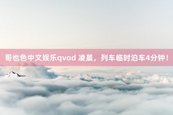 哥也色中文娱乐qvod 凌晨，列车临时泊车4分钟！