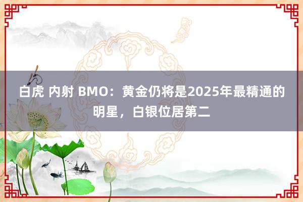 白虎 内射 BMO：黄金仍将是2025年最精通的明星，白银位居第二