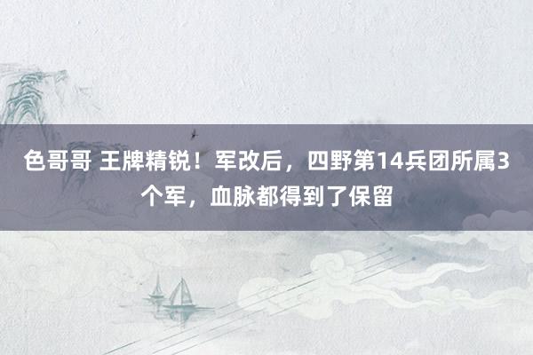 色哥哥 王牌精锐！军改后，四野第14兵团所属3个军，血脉都得到了保留