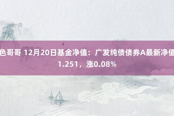 色哥哥 12月20日基金净值：广发纯债债券A最新净值1.251，涨0.08%