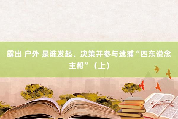 露出 户外 是谁发起、决策并参与逮捕“四东说念主帮”（上）