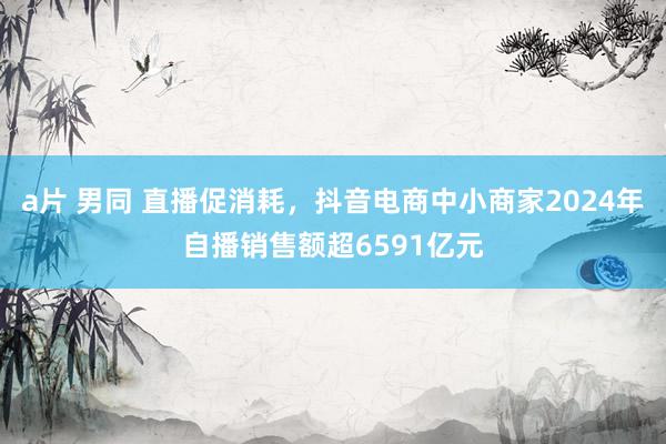 a片 男同 直播促消耗，抖音电商中小商家2024年自播销售额超6591亿元