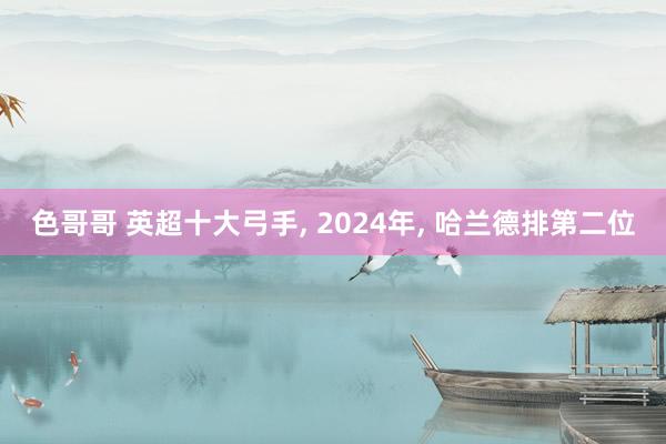 色哥哥 英超十大弓手， 2024年， 哈兰德排第二位