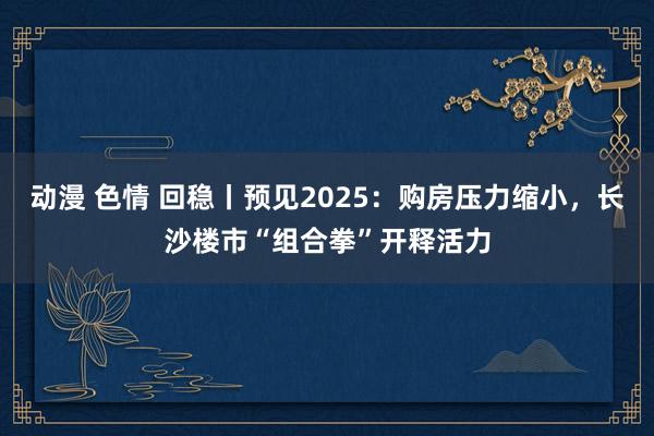 动漫 色情 回稳丨预见2025：购房压力缩小，长沙楼市“组合拳”开释活力