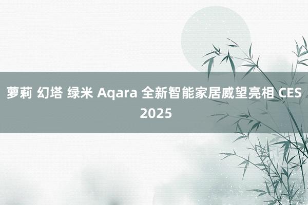 萝莉 幻塔 绿米 Aqara 全新智能家居威望亮相 CES 2025