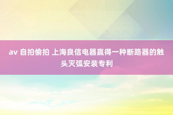 av 自拍偷拍 上海良信电器赢得一种断路器的触头灭弧安装专利