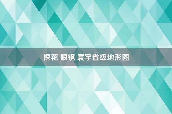 探花 眼镜 寰宇省级地形图