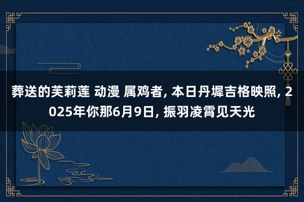 葬送的芙莉莲 动漫 属鸡者, 本日丹墀吉格映照, 2025年你那6月9日, 振羽凌霄见天光